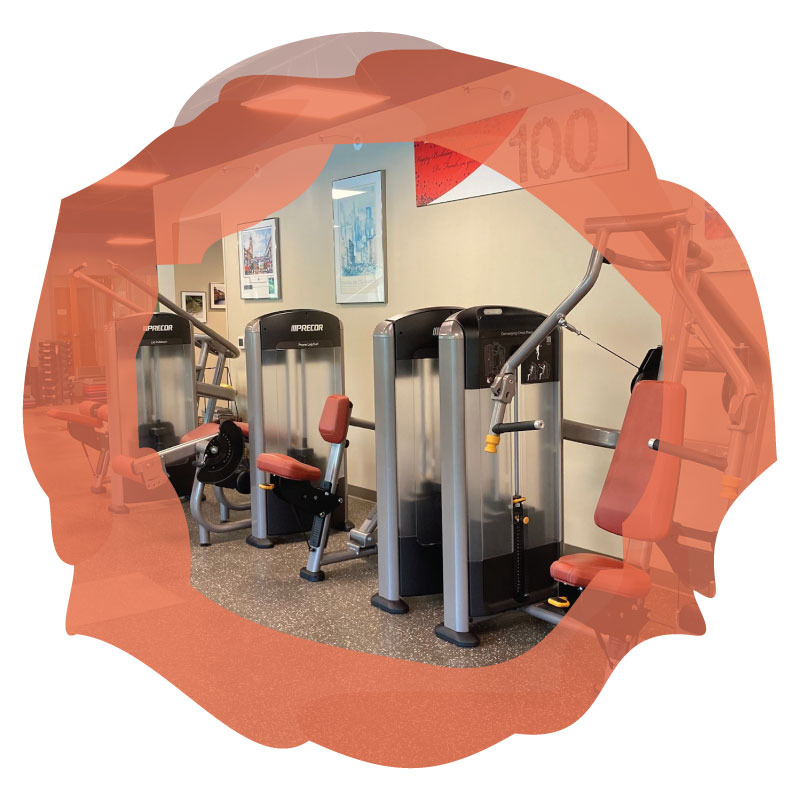 movement therapy strength equipment